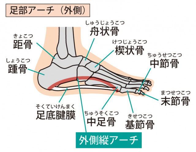 足底