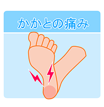 かかとの画像